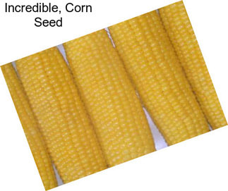 Incredible, Corn Seed