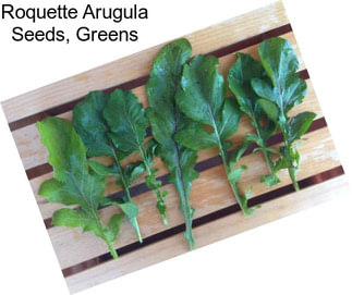 Roquette Arugula Seeds, Greens