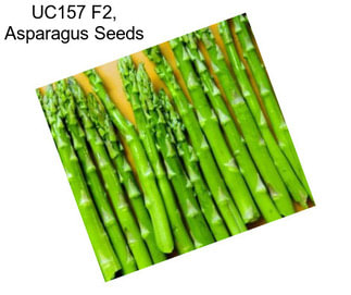 UC157 F2, Asparagus Seeds