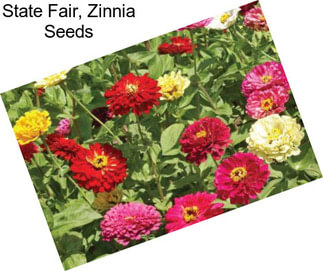 State Fair, Zinnia Seeds