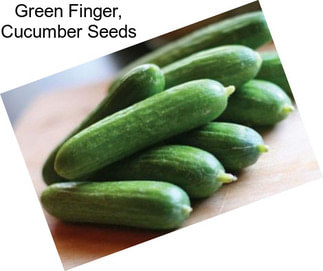 Green Finger, Cucumber Seeds