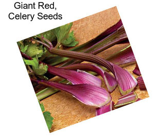 Giant Red, Celery Seeds