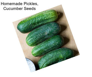 Homemade Pickles, Cucumber Seeds