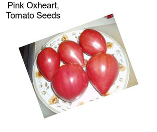 Pink Oxheart, Tomato Seeds