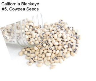 California Blackeye #5, Cowpea Seeds