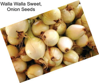 Walla Walla Sweet, Onion Seeds