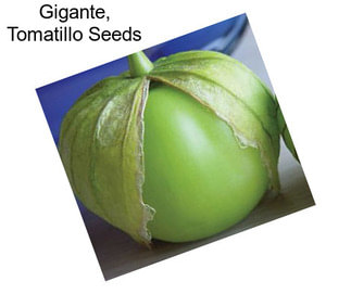 Gigante, Tomatillo Seeds