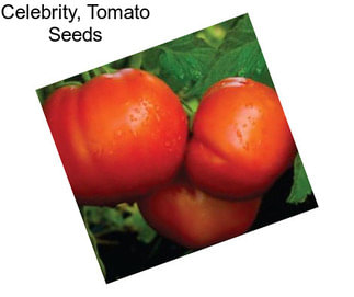 Celebrity, Tomato Seeds