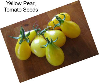 Yellow Pear, Tomato Seeds