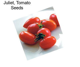 Juliet, Tomato Seeds