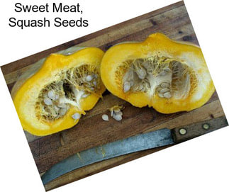 Sweet Meat, Squash Seeds