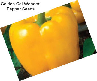 Golden Cal Wonder, Pepper Seeds