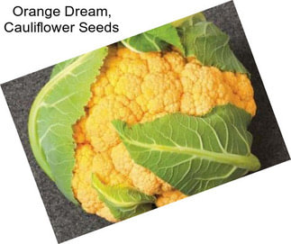 Orange Dream, Cauliflower Seeds