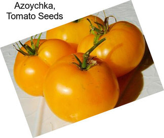 Azoychka, Tomato Seeds