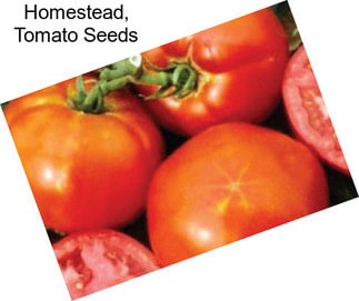 Homestead, Tomato Seeds