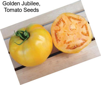 Golden Jubilee, Tomato Seeds