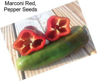 Marconi Red, Pepper Seeds