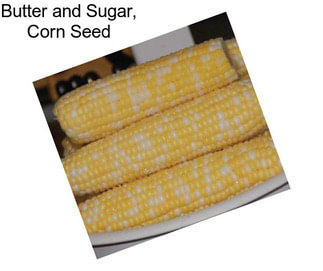 Butter and Sugar, Corn Seed