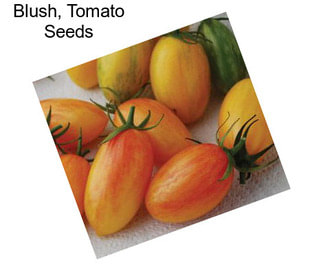 Blush, Tomato Seeds