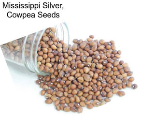 Mississippi Silver, Cowpea Seeds