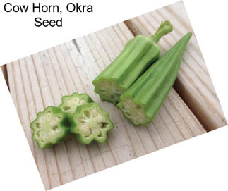 Cow Horn, Okra Seed