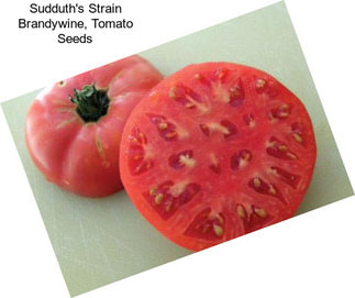 Sudduth\'s Strain Brandywine, Tomato Seeds