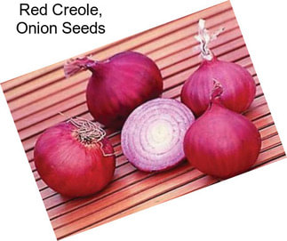 Red Creole, Onion Seeds