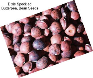 Dixie Speckled Butterpea, Bean Seeds