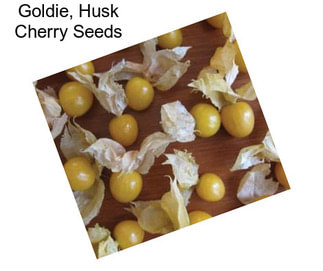 Goldie, Husk Cherry Seeds