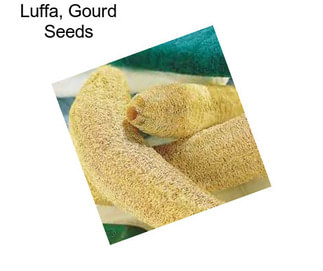 Luffa, Gourd Seeds