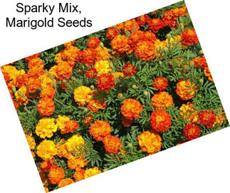 Sparky Mix, Marigold Seeds