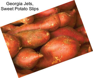 Georgia Jets, Sweet Potato Slips