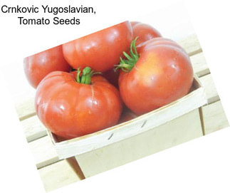 Crnkovic Yugoslavian, Tomato Seeds