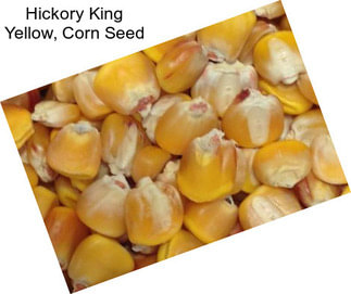 Hickory King Yellow, Corn Seed