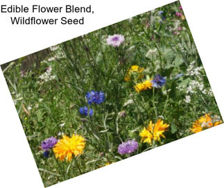 Edible Flower Blend, Wildflower Seed