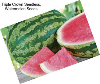 Triple Crown Seedless, Watermelon Seeds