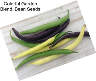 Colorful Garden Blend, Bean Seeds