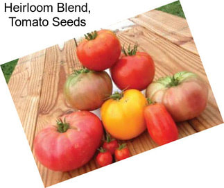 Heirloom Blend, Tomato Seeds