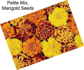 Petite Mix, Marigold Seeds