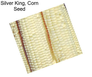 Silver King, Corn Seed