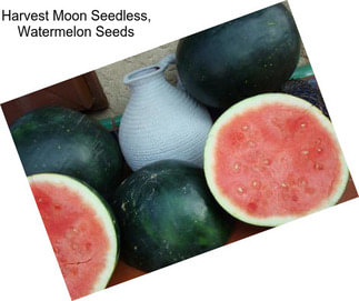 Harvest Moon Seedless, Watermelon Seeds
