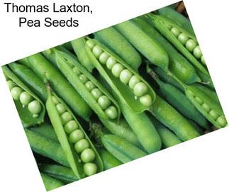 Thomas Laxton, Pea Seeds