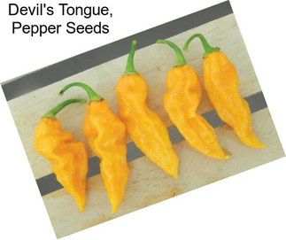 Devil\'s Tongue, Pepper Seeds