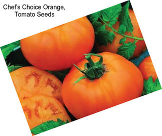 Chef\'s Choice Orange, Tomato Seeds