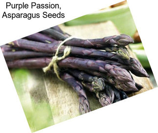 Purple Passion, Asparagus Seeds