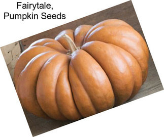 Fairytale, Pumpkin Seeds