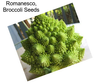 Romanesco, Broccoli Seeds