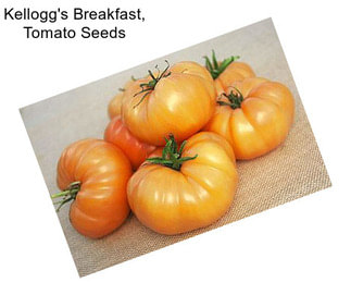 Kellogg\'s Breakfast, Tomato Seeds