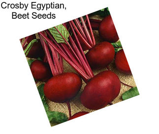 Crosby Egyptian, Beet Seeds