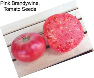 Pink Brandywine, Tomato Seeds